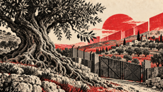 Illustrazione editoriale di un ulivo e di un accesso chiuso verso i campi in Cisgiordania, nei colori avorio, nero e rosso